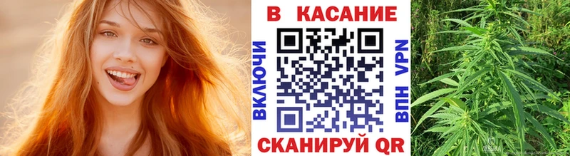 Купить закладку COCAIN  Меф мяу мяу  Гашиш  МАРИХУАНА  Светогорск