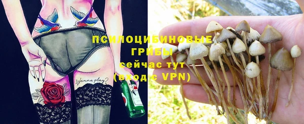 ПСИЛОЦИБИНОВЫЕ ГРИБЫ Верхний Тагил